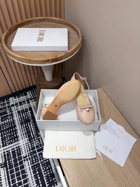 Dior Shoe 